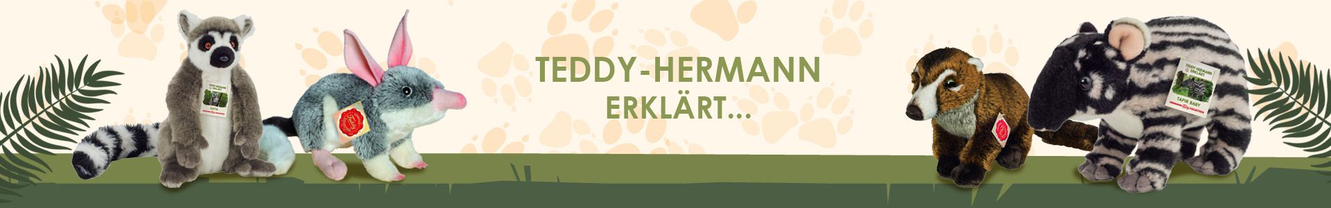 Teddy-Hermann erklärt... Teddy-Hermann erklärt...