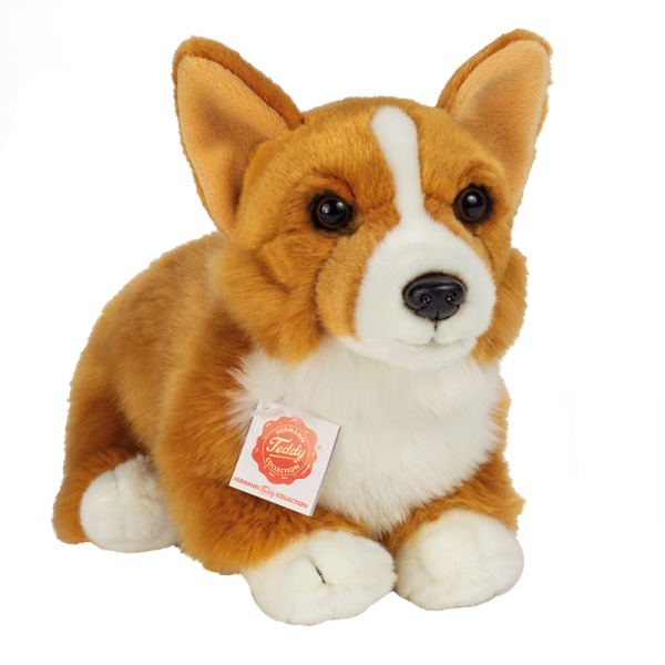 Teddy Hunde Mini Kaufen Hermann Teddy Hund Collie kaufen auf Ricardo