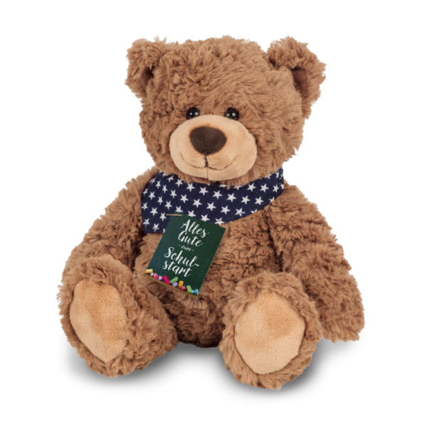 Teddy für Schulanfang 30 cm