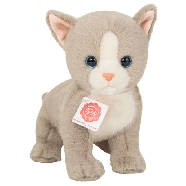 Babykatze grau von Teddy Hermann