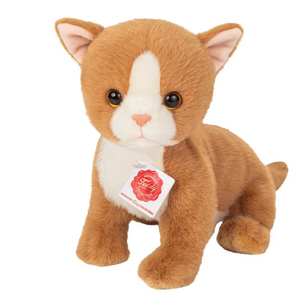 Babykatze rot von Teddy Hermann