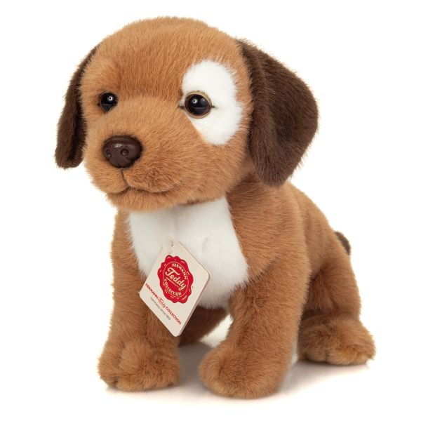 Hundewelpe Milow 25 cm von Teddy Hermann