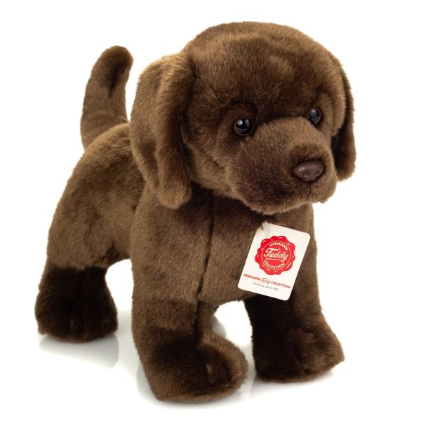 Labrador braun stehend 30 cm von Teddy Hermann
