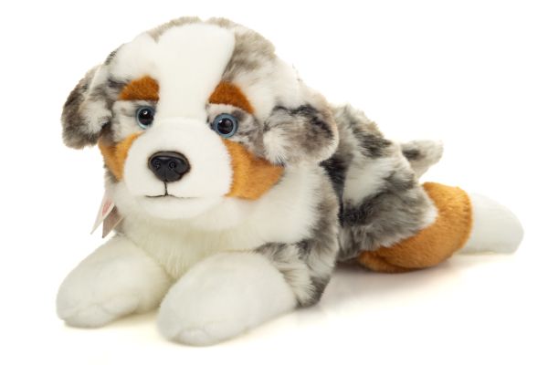 Australian Shepherd liegend 40 cm von Teddy Hermann
