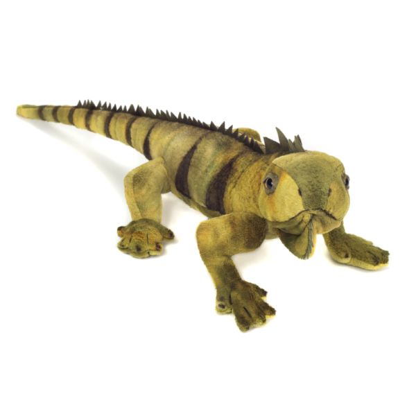 Leguan 49 cm Teddy Hermann